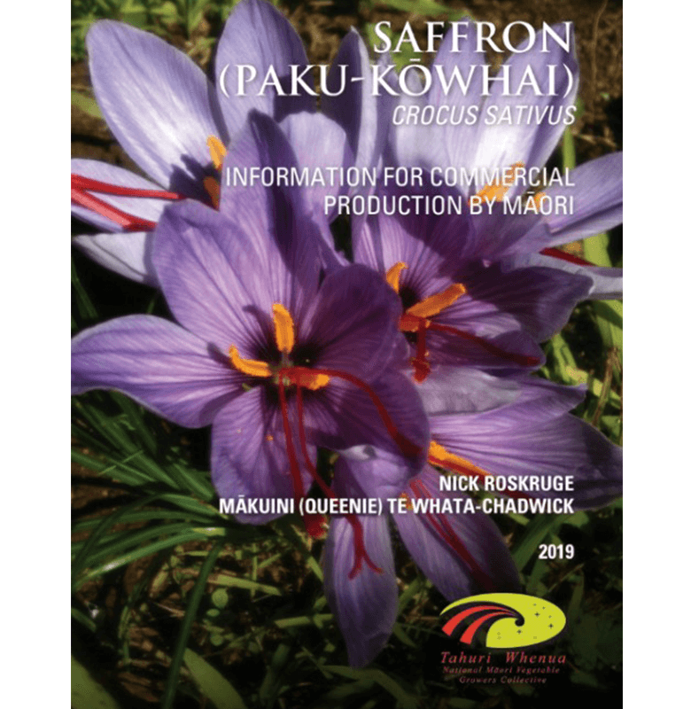 SAFFRON  PAKU KŌWHAI