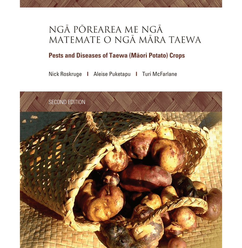 NGĀ POREAREA ME NGĀ MATEMATE O NGĀ MĀRA TAEWA -  Pests and Diseases of Taewa
